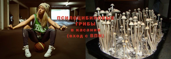 первитин Белоозёрский